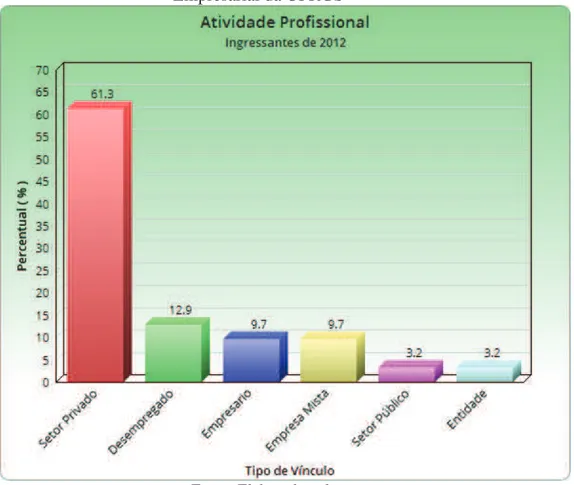 Gráfico 11 - Atividade profissional dos alunos admitidos em 2012 no curso de Gestão  Empresarial da UFRGS 