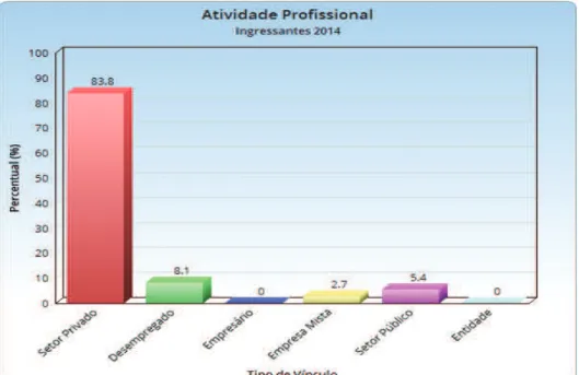 Gráfico 13 - Atividade profissional dos alunos admitidos em 2014 no curso de Gestão  Empresarial da UFRGS 