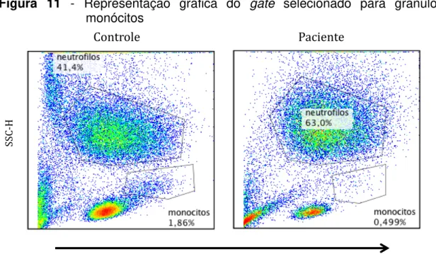 Figura  11  -  Representação  gráfica  do  gate  selecionado  para  granulócitos  e  monócitos 