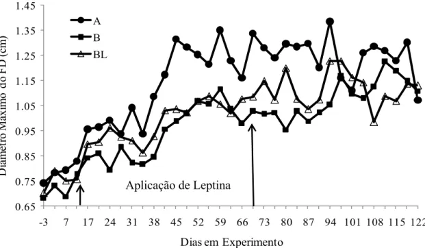 Figura 5 -  Efeito dos tratamentos no diâmetro máximo do folículo dominante (cm). A –  dieta de alta energia ( ● ), B – dieta de baixa energia ( ■ ); BL – dieta de baixa  energia + 4,8 µg oLeptina/kg PV ( △ ) 