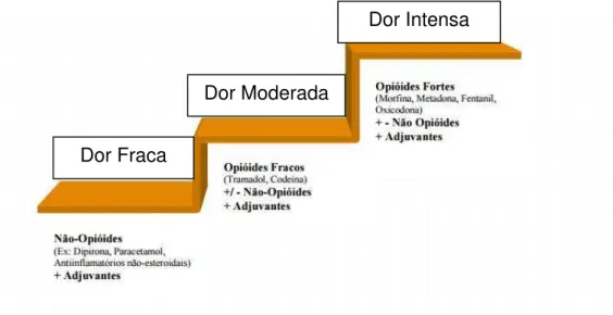 Figura 2.1  –  Escada analgésica da OMS 