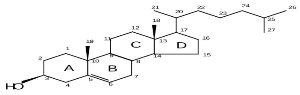 Figura 1. Molécula de colesterol (5-cholesten-3-ol) (PANIANGVAIT et al., 1995) 