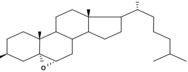 Figura 7. Molécula de colesterol-5α,6α–epóxido (5,6 -epoxy-5-cholestan-3-ol)        