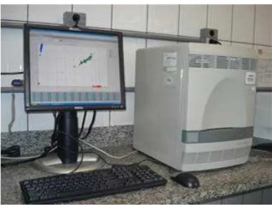 Figura  5. Equipamento  ABI Prism ®  7500  Sequence Detection System   (Applied  Biosystems) utilizado para PCR em tempo real 