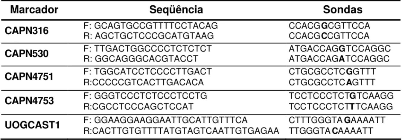 Tabela  3. Seqüência de bases dos oligonucleotídeos iniciadores específicos  (primers) para cada marcador estudado 