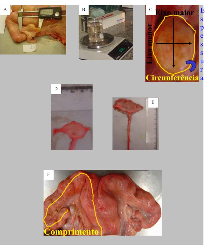 Figura 2 – Quadro ilustrativo com a seqüência das medições efetuadas no Experimento 1