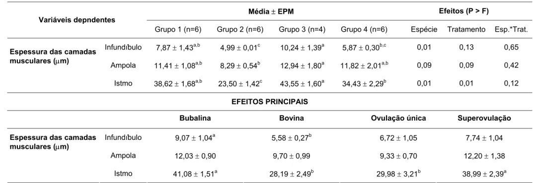 Tabela 5 –  Espessura das camadas musculares – circular e longitudinal – dos ovidutos de fêmeas bubalinas e bovinas submetidas à ovulação única (G- (G-BufOv e G-BovOv) ou a múltipla ovulação (G-BufSov e G-BovSov), de acordo com a porção do órgão - São Paul