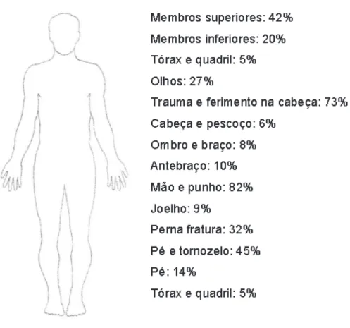 Figura 1 - Partes do corpo mais afetadas em acidentes 