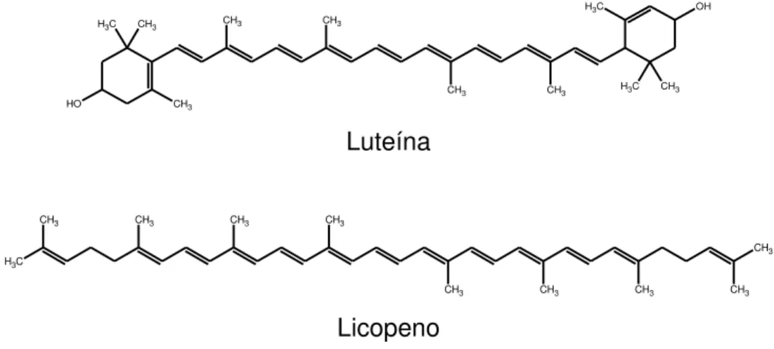 Figura 5. Estrutura química da luteína e do licopeno. 