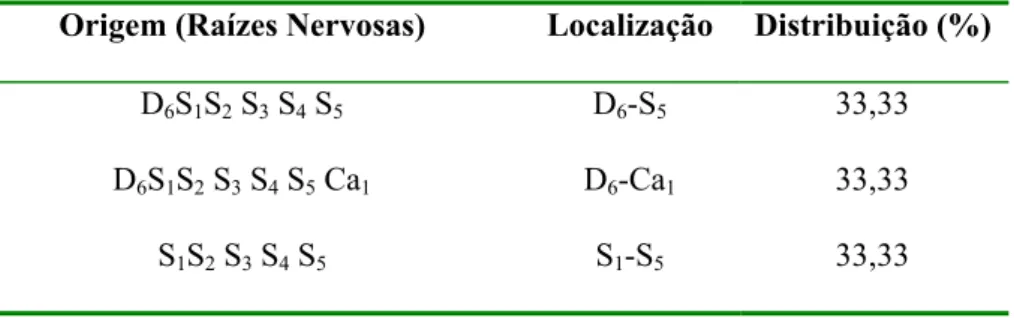 Tabela 2 – Origem, localização da intumescência tóraco-sacral, e distribuição do  plexo lombossacral em  G