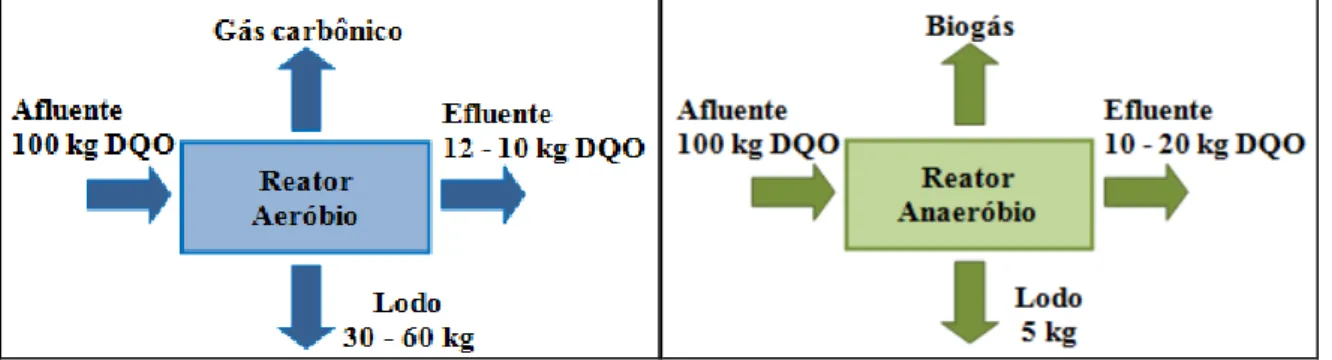 Figura 2 - Balanço esquemático de DQO em sistemas de tratamento aeróbio e anaeróbio 