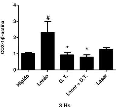 Figura 12: Quantificação da expressão gênica de COX-1 em músculo tibial anterior  de ratos Wistar após 3 horas do protocolo de alongamento passivo