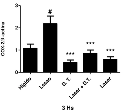 Figura 14: Quantificação da expressão gênica de COX-2 em músculo tibial anterior  de ratos Wistar após 3 horas do protocolo de alongamento passivo