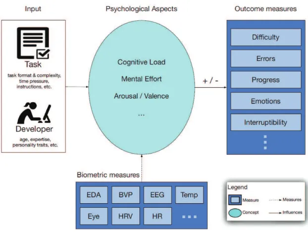 Figure 8 – Psychophysiological process in a software development context.
