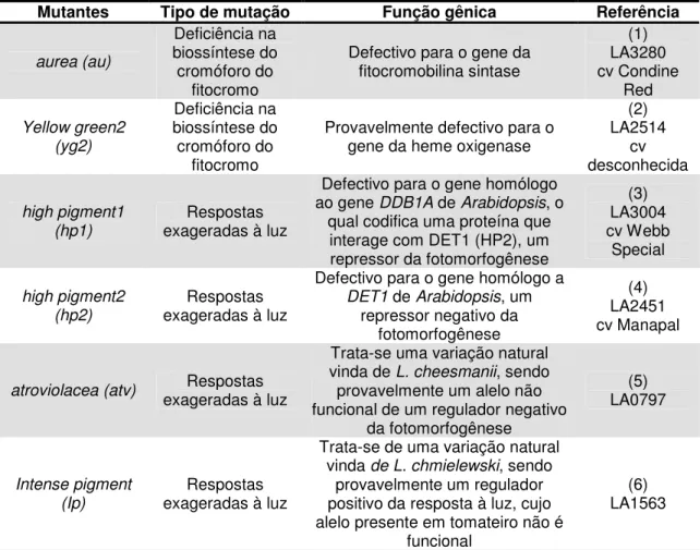 Tabela 2 - Mutantes fotomorfogenéticos introgredidos na cultivar Micro-Tom 