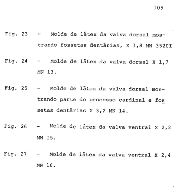 Fig.  23  -  Molde  de  1ãtex da  valva dorsal  mos-