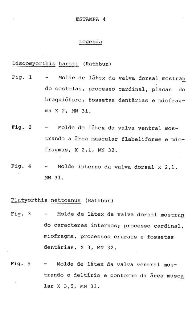 Fig  &#34;  1  -  Mol-de  de låtex  da