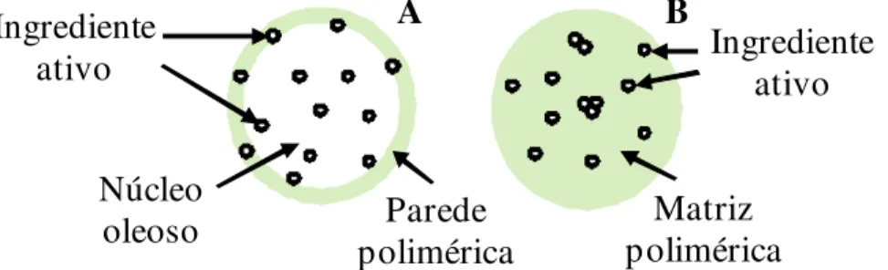 Figura  2  -  Representação  esquemática  de  nanopartículas  poliméricas.  A.  Nanocápsula  (NC)  com  ingrediente  ativo  dissolvido  no  núcleo  oleoso  e  adsorvido  à  parede  polimérica;  B