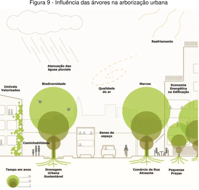Figura 9 - Influência das árvores na arborização urbana 