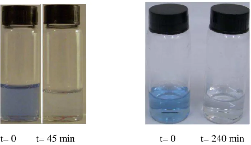 FIGURA  21  -  Solução  aquosa  do  IC  antes  e  após  o  processo  de  adsorção  na  CL-2  (esquerda) e na ZM-2 (direita) 