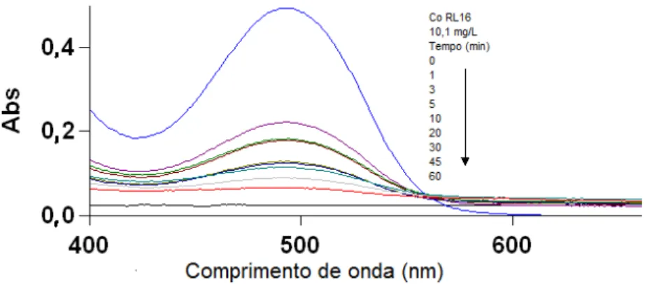 FIGURA 23  –  Espectro na região do visível para o RL16 antes e após a adsorção na CL-2  nos diferentes tempos de contato 