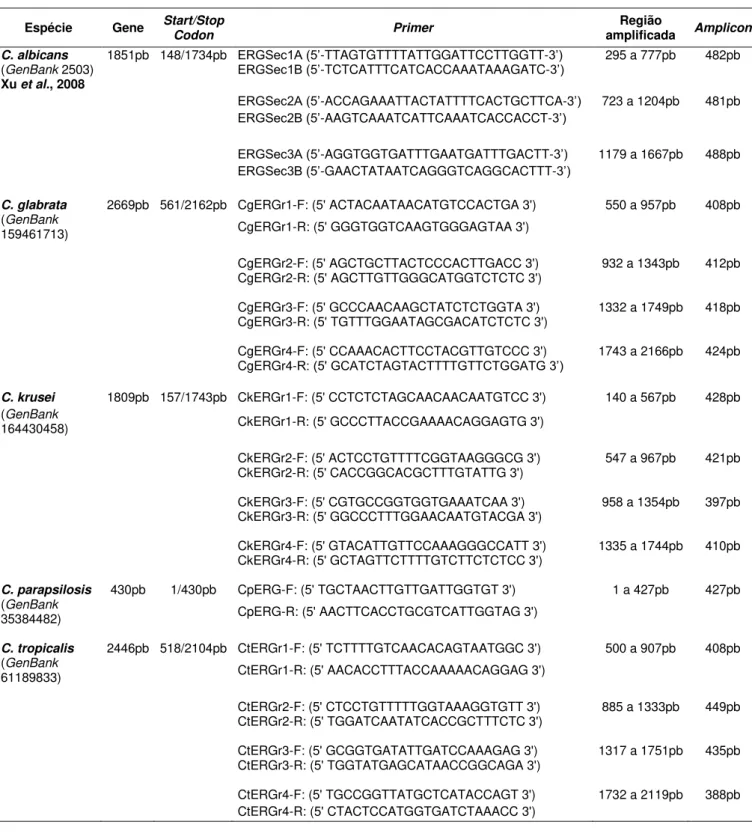 Tabela 1  –  Primers que amplificam o gene ERG11 de C. albicans (Xu et al., 2008) e das                     demais espécies de Candida 