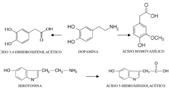 Figura 4 - Estruturas químicas da dopamina, serotonina e respectivos metabólitos 