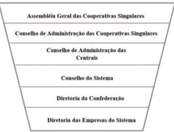 Figura 4 - Hierarquia de decisão em sistemas de cooperativas 