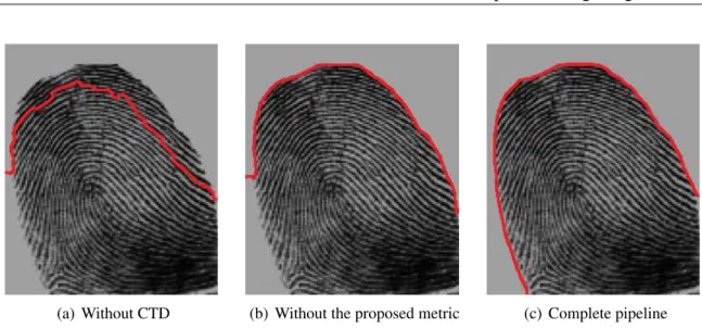Figure 3.10: Automatic result with the proposed framework.