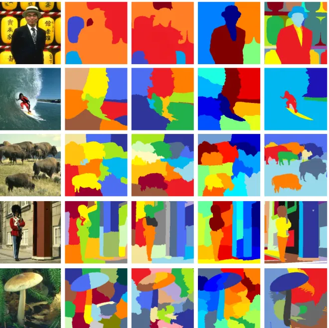 Figure 3.18: From left to right: The input image, the segmentations resulting from NCut, MS-NCut, our approach and the human-drawn ground-truth.