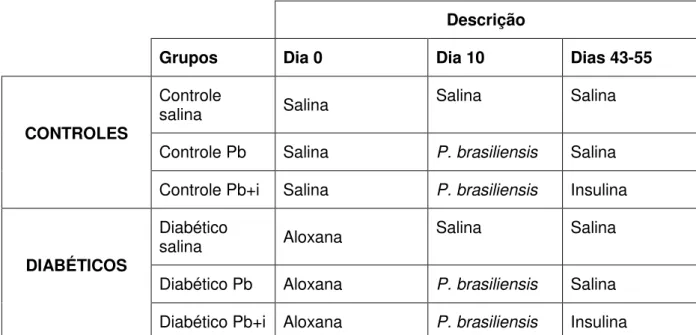 Figura 2 - Quadro de distribuição de grupos do experimento. Pb representando Paracoccidioides  brasiliensis  e  Pb+i  representando  Paracoccidioides  brasiliensis  em  conjunto  com  o  tratamento  de  insulina