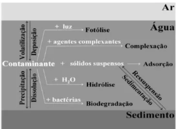 Figura 2.1. Processos de transporte e transformação que ocorrem no meio ambiente (Fonte: COSTA et al.,  2008)