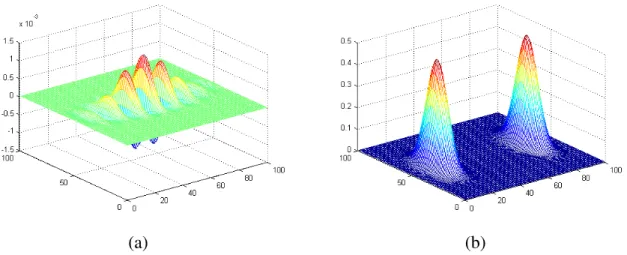 Figura 3.3: (a) parte real de um filtro de Gabor no domínio do espaço e (b) parte real de um filtro de Gabor no domínio de Fourier.