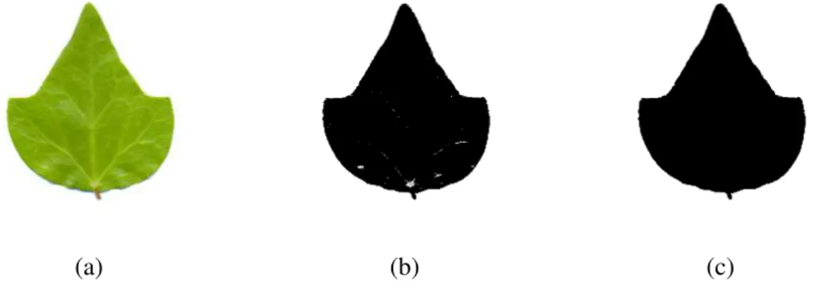 Figura 5.2: (a) imagem original (b) resultado após limiarização automática de Otsu e (c) resultado após aplicação do filtro morfológico F com elemento estruturante circular.