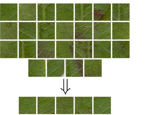 Figura 5.4: Separação das cinco janelas mais representativas (w ′ = 5) dentre o conjunto de 30 janelas (w = 30) extraídas da amostra em análise