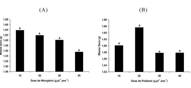 Figura 21 - Massa seca dos botões florais em relação às doses de  nitrogênio (A) e potássio (B) aplicados 