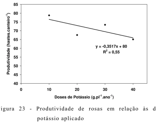 Figura 23 - Produtividade de rosas em relação às doses de  potássio aplicado 