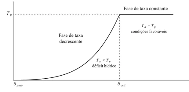 Figura 1 - Transpiração em função do teor de água no solo (θ) na fase de taxa constante (θ ≥ θ crit ) e na fase de taxa  decrescente (θ pmp  ≤  θ  &lt;  θ crit ) 