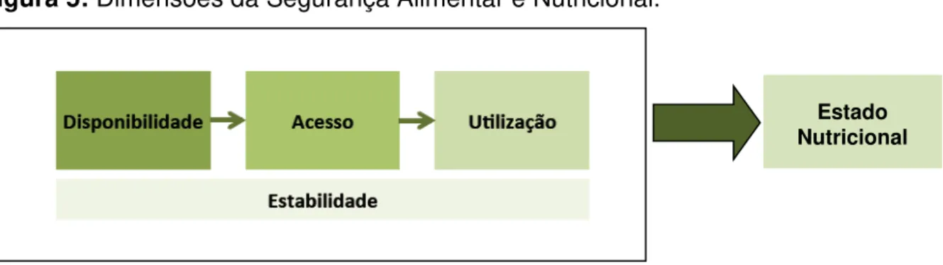 Figura 5: Dimensões da Segurança Alimentar e Nutricional. 