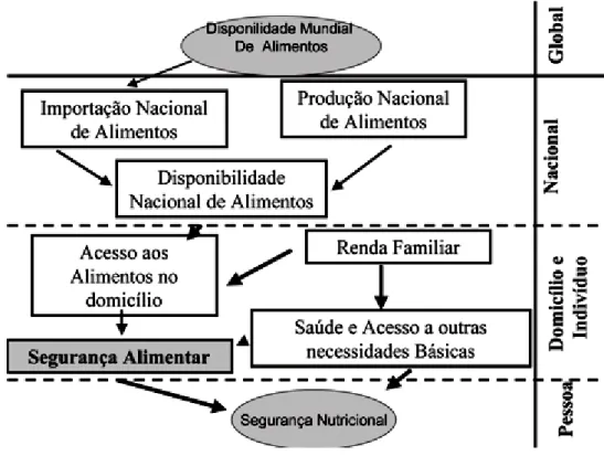 Figura 6: Níveis de segurança alimentar e nutricional. 