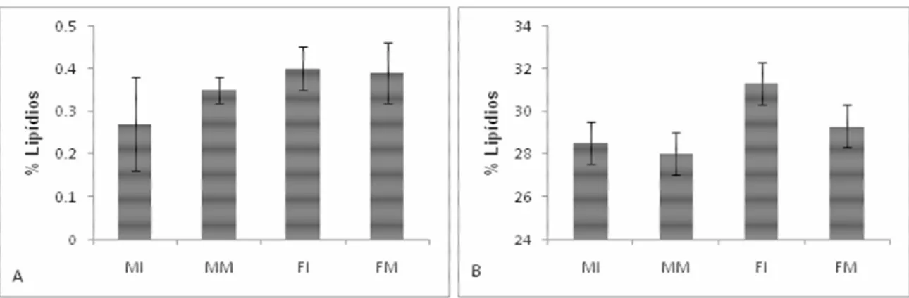 Figura 3: Porcentagem e desvio padrão de lipídios em A) musculatura e B) fígado, de  cada classe de tubarão-azul.