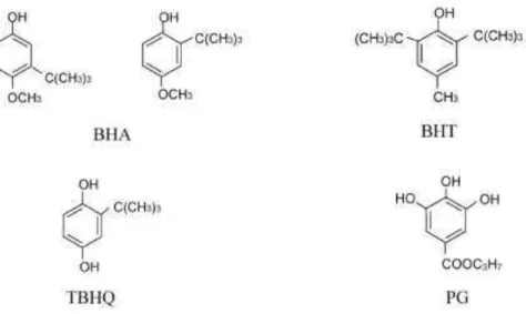 Figura 2 - Estrutura química dos antioxidantes sintéticos  Fonte: Shahidi e Zhong (2010) 