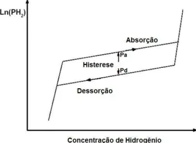 FIGURA 6 - Representação esquemática de isotermas de absorção e dessorção,  considerando amostra real