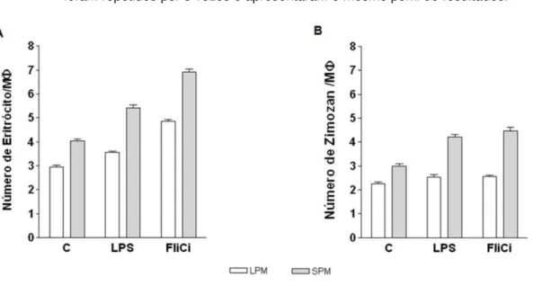 Figura 11  –  Avaliação do efeito dos agonistas de TLR na capacidade fagocítica de LPM e SPM
