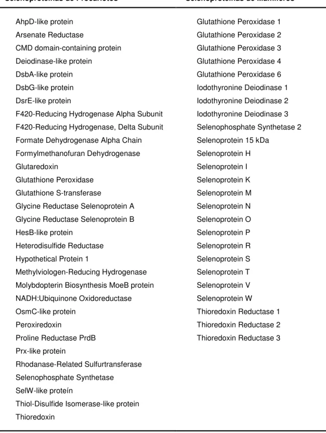 Tabela  1.  1  -  Selenoproteínas  encontradas  em  procariotos  e  mamíferos  organizadas  em  ordem  alfabética