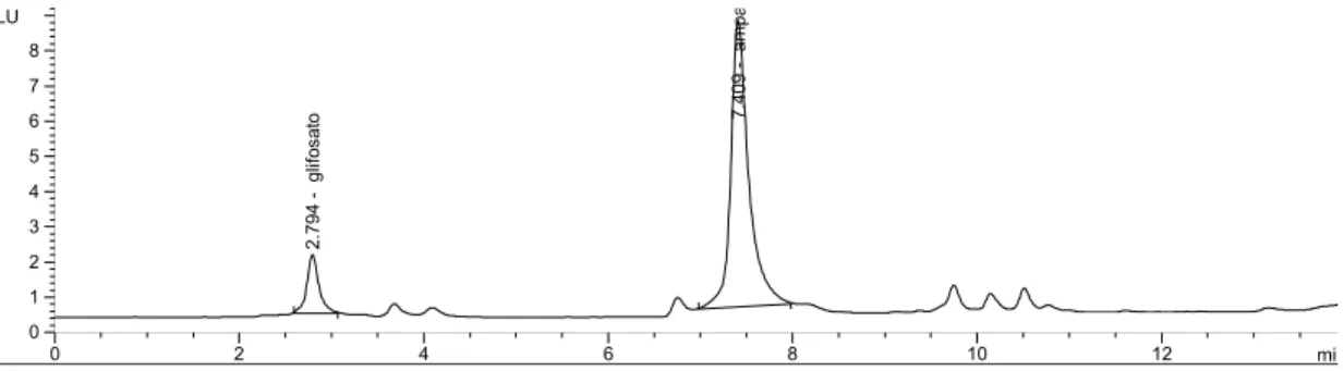 Figura 6 - Cromatograma de extrato de água / fortificação glifosato e AMPA.  