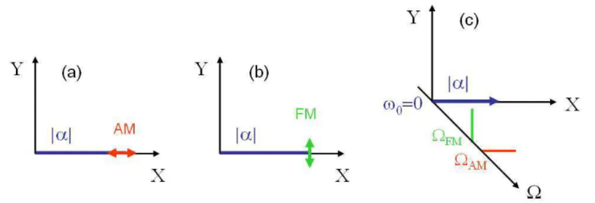 Figura 1.2: Representa¸c˜ao das modula¸c˜oes de amplitude (AM) e fase (FM), que geram flutua¸c˜ao em quadraturas ortogonais [(a) e (b), respectivamente]