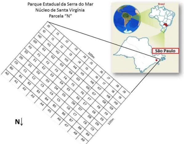 Figura  2.1  –  Mapa  do  Brasil  destacando  o  Estado  de  São  Paulo  com  a  localização  do  núcleo  de  Santa Virginia e a parcela N amostrada no Parque Estadual da Serra do Mar 