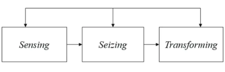 Figura 4 – Capacidades dinâmicas 
