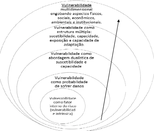 Figura nº 8  Perspectivas da Resiliência 